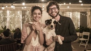 undefined Images